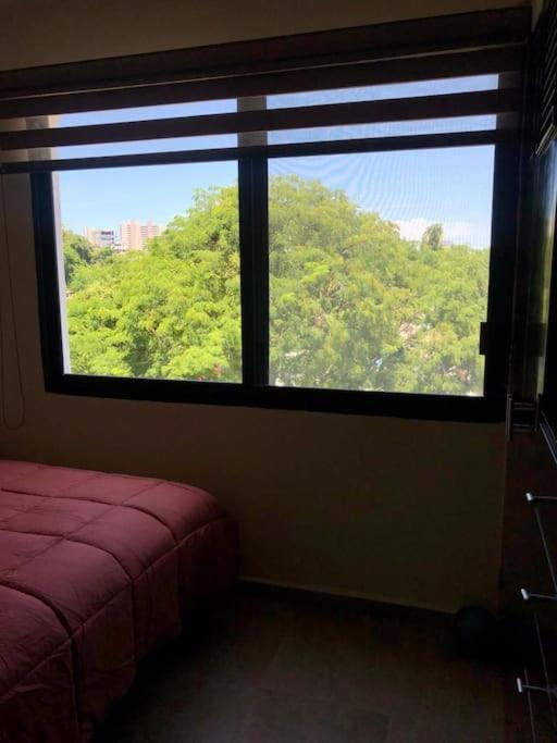 Apartamento Lujoso Departamento En Zona Dorada De *